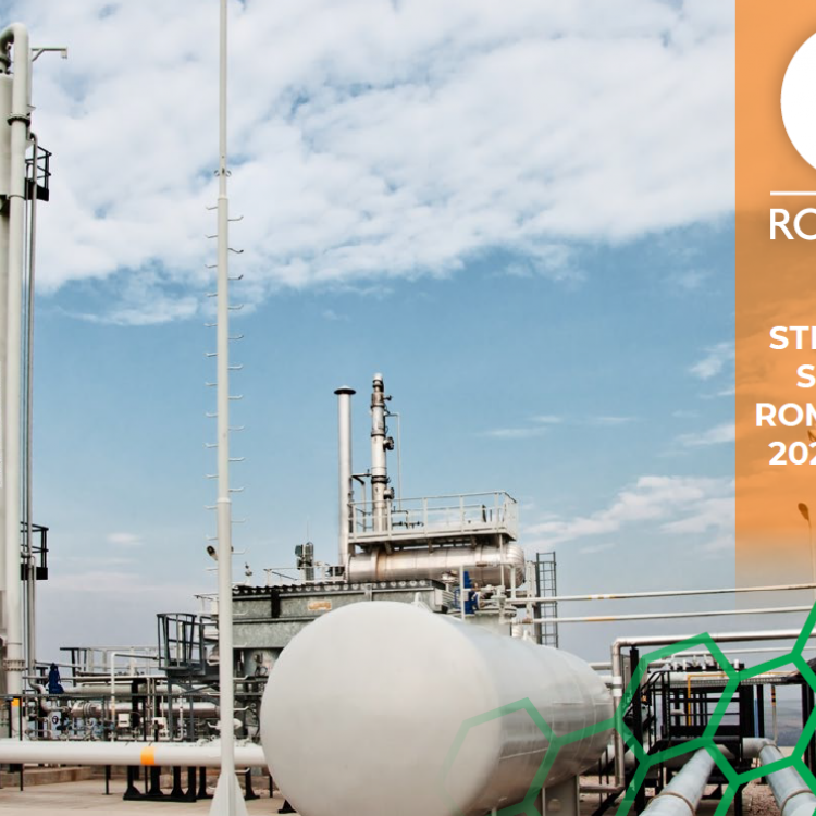 Strategia S.N.G.N. ROMGAZ S.A. 2021-2030